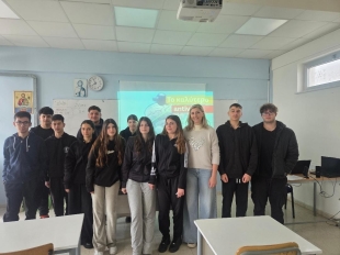 Psifiaki Asfaleia 105